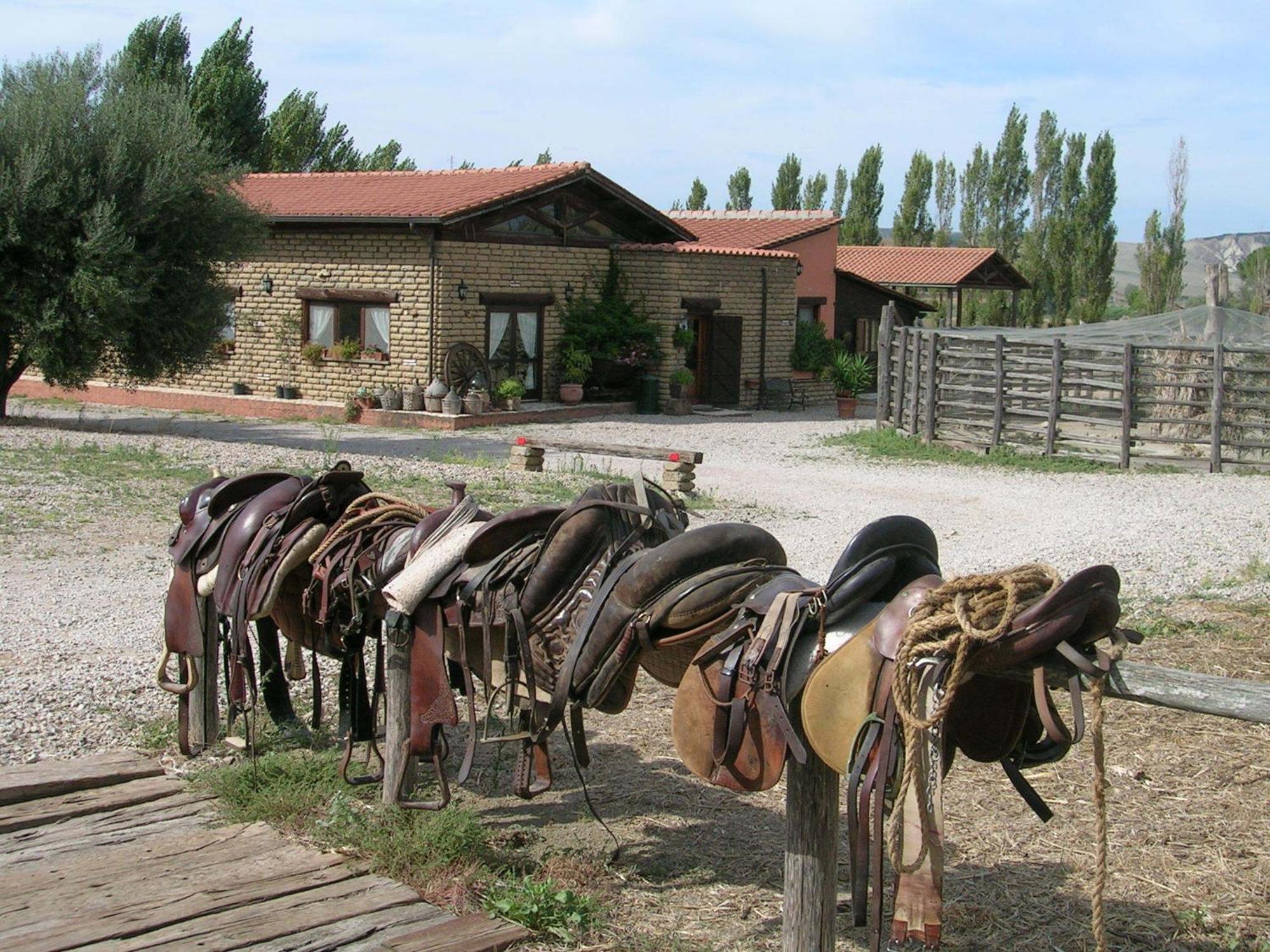 Casale Farnesiana B&B Tarquinia Exterior foto