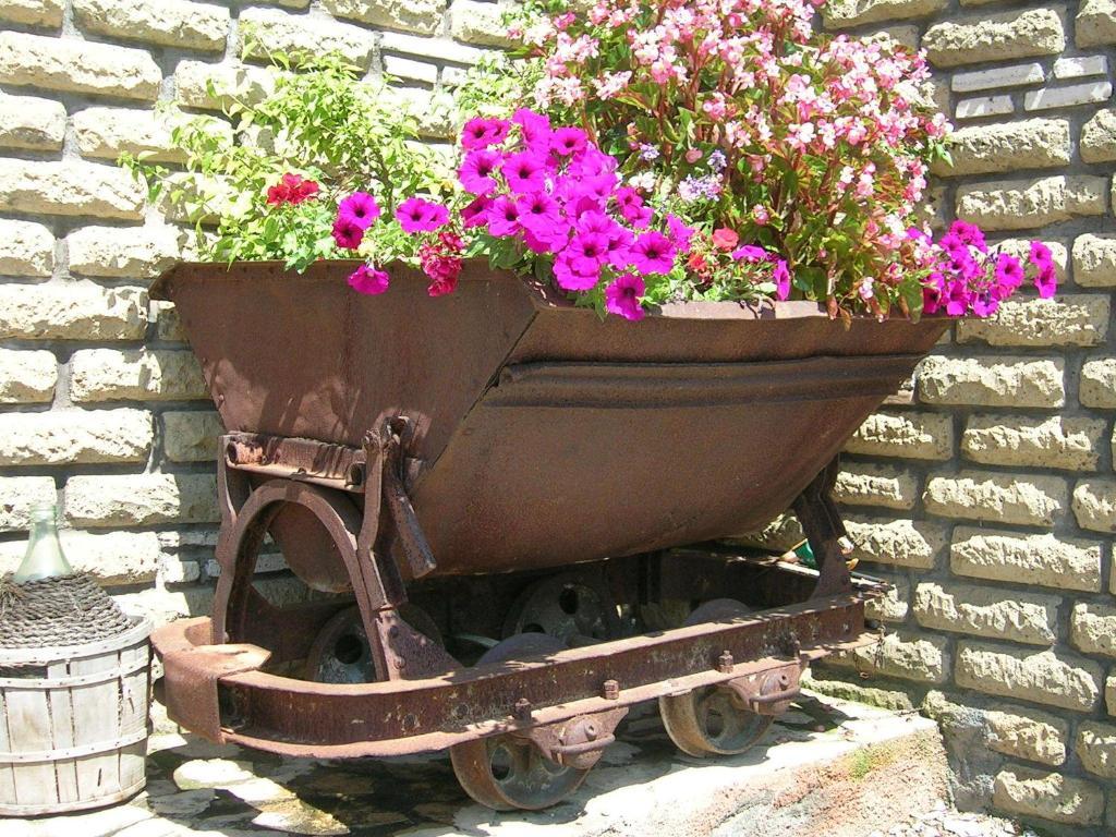 Casale Farnesiana B&B Tarquinia Exterior foto