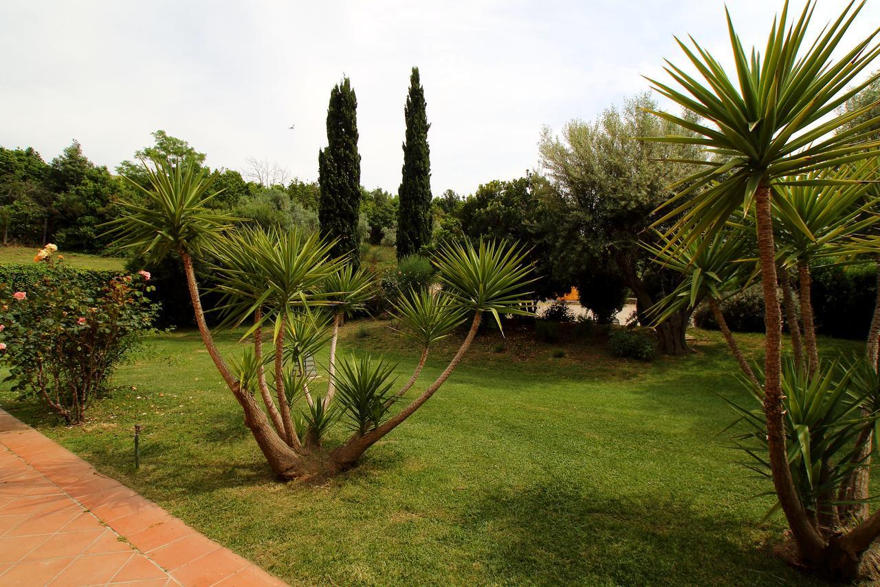 Casale Farnesiana B&B Tarquinia Exterior foto